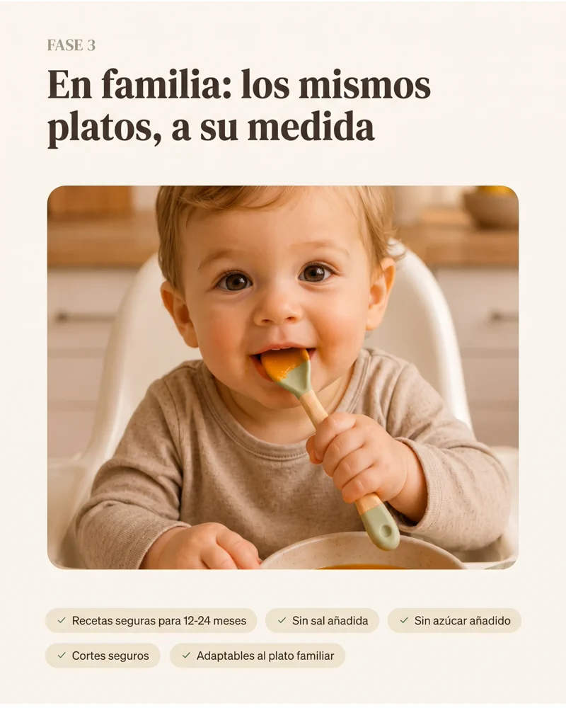 Bebé de 12 a 24 meses compartiendo platos familiares adaptados